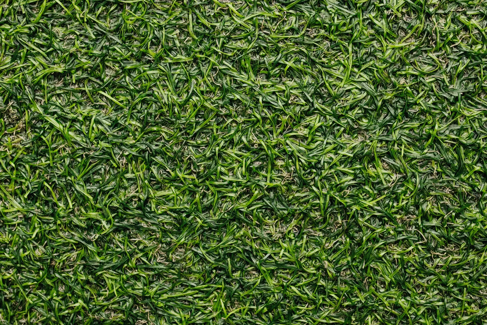 Close-up of artificial turf blades and thatch